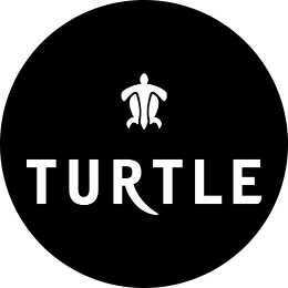 Turtle Logo